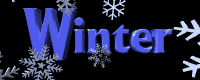 winter.GIF (11898 bytes)